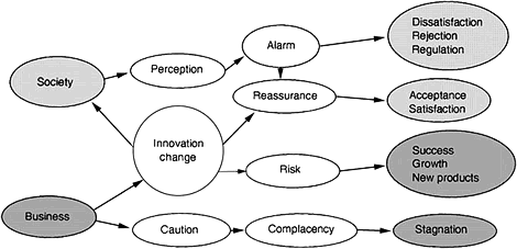 Fig. 2.6 The business and societal decisions for innovations
