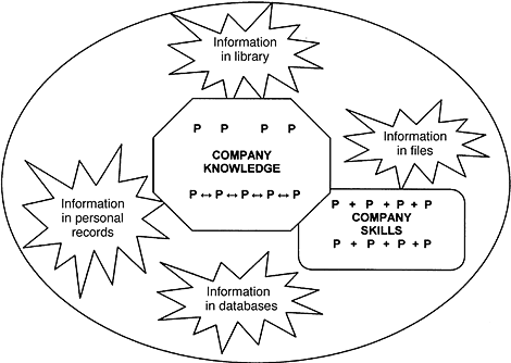 Fig. 4.6 Knowledge and information in the company